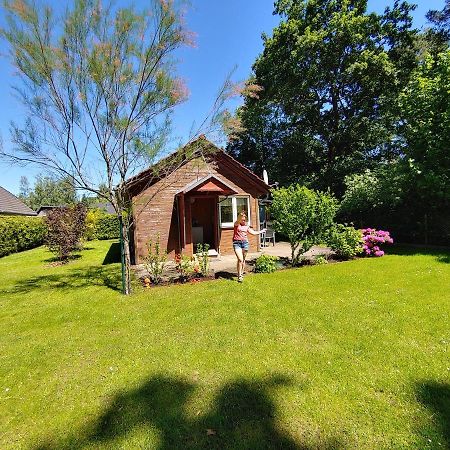 ヴェンディッシュ・リーツ Ferienhaus Eschenalleeヴィラ エクステリア 写真